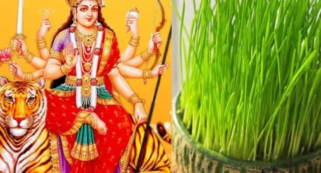 Shardiya Navratri 2025: Why is Barley Sown? Exploring the Mythological Significance